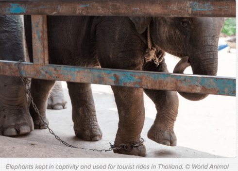 Screen Shot 2018-10-19 at 9.53.04 AM.png